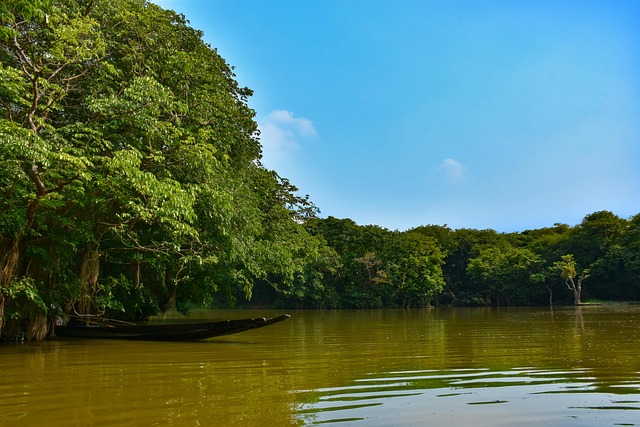 sylhet, ratargul, bangladesh, beautiful nature, water, river, africa, lake, wallpaper 4k, sundarban, wallpaper hd, travel, beautiful wallpaper, vacation, hd wallpaper, nature wallpaper, landscape, desktop backgrounds, nature, tourism, natural, scenic, nature background, jungle, boat, mac wallpaper, laptop wallpaper, fisherman, free background, free download, wallpaper, free wallpaper, 4k wallpaper 1920x1080, windows wallpaper, photography, 4k wallpaper, picture, full hd wallpaper, blue sky, sunshine, cool backgrounds, asia - 4K 8K wallpaper background by gulzer | Pix8K
