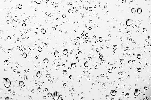 rain, wallpaper hd, free wallpaper, drops, 4k wallpaper, rainy, 4k wallpaper 1920x1080, wet, beautiful wallpaper, droplets, nature, desktop backgrounds, water, wallpaper 4k, full hd wallpaper, background, raindrop, windows wallpaper, hd wallpaper, texture, mac wallpaper, laptop wallpaper, free background, cool backgrounds, window - 4K 8K wallpaper background by robert1029 | Pix8K