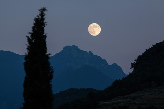 moon, cypress, mountains, moonrise, full moon, romantic, nature, night, eve, dusk, almost night - 4K 8K wallpaper background by stux | Pix8K
