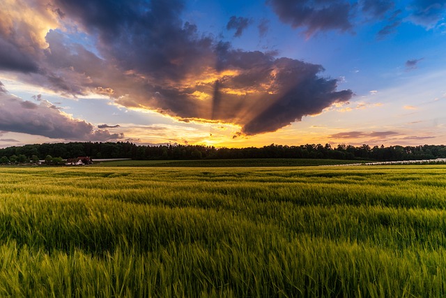 sunset, evening sky, free background, nature, cloudy, dramatic clouds, windows wallpaper, full hd wallpaper, wallpaper hd, wallpaper 4k, dusk, blue hour, desktop background, desktop backgrounds, screen background, beautiful wallpaper, field, laptop wallpaper, grain, evening atmosphere, background image, background, desktop, 4k wallpaper, hd wallpaper, screen image, free wallpaper, background motif, shining, coloured, cool backgrounds, heaven, mac wallpaper, colorful, 4k wallpaper 1920x1080, evening hour, romance, romantic, clouds, cloud formations, thunderstorm mood, landscape, mood, afterglow - 4K 8K wallpaper background by 2780243 | Pix8K