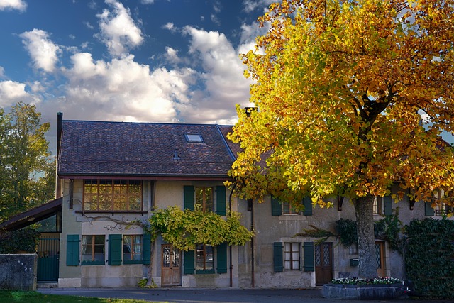 house, mac wallpaper, full hd wallpaper, 4k wallpaper 1920x1080, tree, 4k wallpaper, beautiful wallpaper, wallpaper hd, wallpaper 4k, fall, free wallpaper, free background, town, nature, hd wallpaper, windows wallpaper, desktop backgrounds, wallpaper, laptop wallpaper, cool backgrounds, desktop picture, hintergrundsbild, yk - 4K 8K wallpaper background by ykaiavu | Pix8K