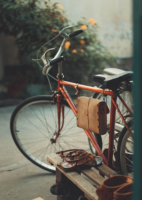 vintage photograph, bicycle, backyard, retro photograph, bicycle, bicycle, bicycle, bicycle, bicycle - 4K 8K wallpaper background by AntiM_photography | Pix8K