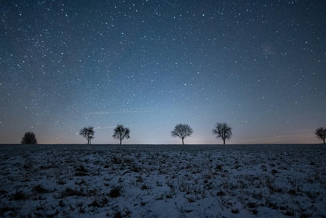 night sky, stars, snow, trees, 4k wallpaper, free background, nature, hd wallpaper, wallpaper 4k, full hd wallpaper, free wallpaper, night, laptop wallpaper, astrophotography, windows wallpaper, milky way, wallpaper hd, desktop backgrounds, beautiful wallpaper, mac wallpaper, starry sky, cool backgrounds, background, 4k wallpaper 1920x1080, panorama - 4K 8K wallpaper background by Manuel-H | Pix8K