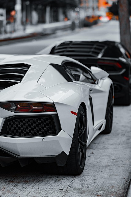 cars, super cars, luxury cars, lamborghini, corvette, black car, white car, sports cars, exotic cars, daytime, parked cars, car row, black lamborghini, white lamborghini, black corvette, high-end vehicles, automobile, car collection, outdoor - 4K 8K wallpaper background by futuremoon | Pix8K