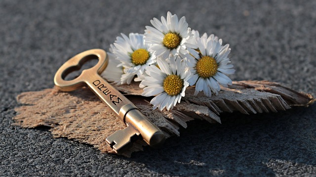 key, heart, full hd wallpaper, beautiful wallpaper, daisy, love, windows wallpaper, 4k wallpaper, wood, valentine's day, in love, symbol, romance, romantic, background image, flower wallpaper, 4k wallpaper 1920x1080, wallpaper hd, hd wallpaper, laptop wallpaper, deco, mac wallpaper, desktop backgrounds, beautiful flowers, background, friendship, cool backgrounds, to open, wallpaper 4k, close up, floral background, free background, door key, flower, key to the heart, nature, dream, template, symbolism, free wallpaper, flower background, love symbol - 4K 8K wallpaper background by NoName_13 | Pix8K