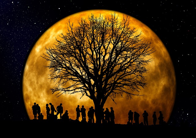 tree, bald, moon, mac wallpaper, full hd wallpaper, hd wallpaper, laptop wallpaper, wallpaper hd, 4k wallpaper, 4k wallpaper 1920x1080, people, desktop backgrounds, group, silhouette, free wallpaper, background, free background, night, eve, wallpaper 4k, nature, the atmosphere, mood, cool backgrounds, windows wallpaper, gold, beautiful wallpaper, yellow, moonlight - 4K 8K wallpaper background by geralt | Pix8K