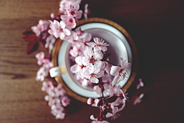 spring, cherry, bloom, hd wallpaper, flower background, blossom, nature, tree, branch, flower, blooming, floral, pink, garden, season, teacup, cup, beautiful flowers, table, tumblr wallpaper, flower wallpaper - 4K 8K wallpaper background by Olichel | Pix8K