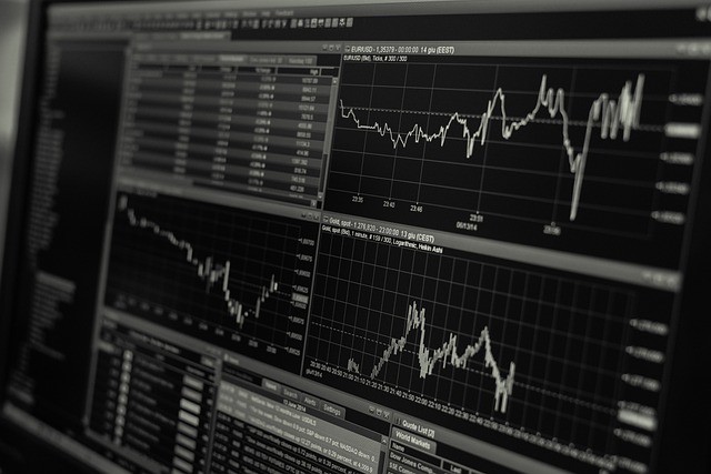 stock, trading, monitor, business, finance, exchange, investment, market, trade, data, graph, economy, financial, currency, chart, information, technology, profit, forex, rate, foreign exchange, analysis, statistic, funds, digital, sell, earning, display, blue, accounting, index, management, black and white, monochrome, stock, stock, stock, trading, trading, trading, trading, trading, business, business, business, finance, finance, finance, finance, investment, investment, market, data, data, data, graph, economy, economy, economy, financial, technology, forex - 4K 8K wallpaper background by 3844328 | Pix8K