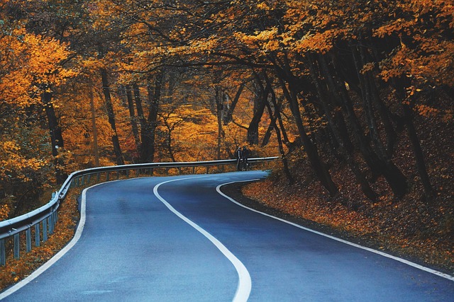 road, curve, trees, highway, leaves, avenue, lane, pavement, autumn, foliage, natural, forest, autumn leaves, autumn foliage, autumn colors, fall leaves, fall foliage, fall colors, nature, road, road, road, road, road, highway, highway, autumn - 4K 8K wallpaper background by alexman89 | Pix8K