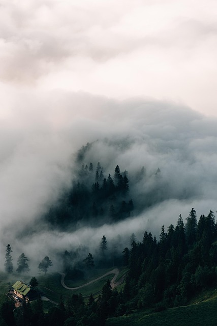 alps, mountains, fog, clouds, nature, trees, forest, landscape, sunrise, dawn, morning, phone wallpaper, mood, aesthetic wallpaper, iphone wallpaper - 4K 8K wallpaper background by chriszwettler | Pix8K