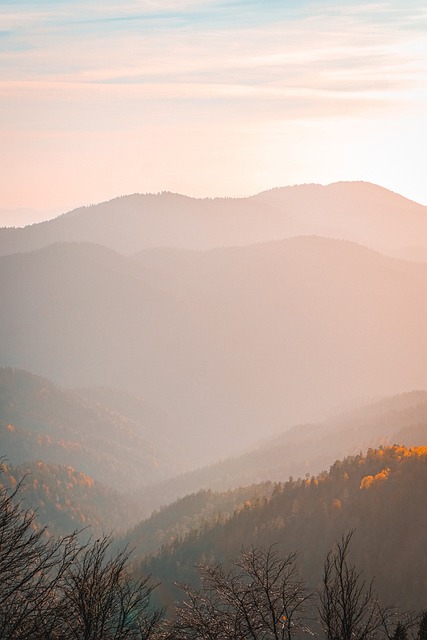 mountains, trees, sunset, fog, forest, sunlight, twilight, phone wallpaper, evening, horizon, nature, view, autumn, aesthetic wallpaper, iphone wallpaper - 4K 8K wallpaper background by nehayaldesin | Pix8K