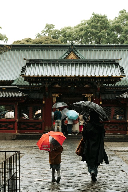 rain, nature, tree, temple, people - 4K 8K wallpaper background by 79RON | Pix8K