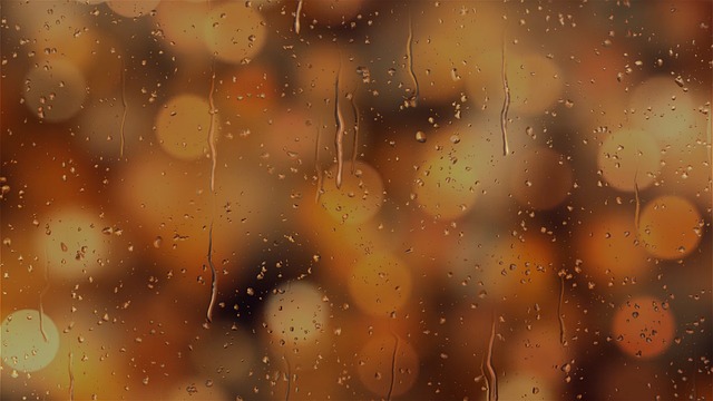 background, bokeh, nature wallpaper, rain, windows wallpaper, laptop wallpaper, cool backgrounds, light, beautiful wallpaper, blur, drops, free wallpaper, blurred background, water, night lights, hd wallpaper, drop, beautiful nature, nature background, drops of water, heat, mac wallpaper, 4k wallpaper, macro, lights, texture, wallpaper, zoom background, brown background, desktop backgrounds, brown water, 4k wallpaper 1920x1080, wallpaper hd, brown rain, brown light, free background, nature, brown texture, brown night, full hd wallpaper, brown zoom, wallpaper 4k, brown wallpaper, brown bokeh, brown lights - 4K 8K wallpaper background by Gam-Ol | Pix8K