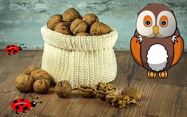 owl, walnuts, nut, bugs, insect, nature, beetle, ladybug, wildlife, awl illustration, awl drawing, awl wallpaper, awls background, awl art, awl tattoos, awl photography, awl portraits, awl doodle design, vintage wallpaper, awls aesthetic, cool background, 2020, awl sketch, awl outline, awl silhouette, brown owl - 4K 8K wallpaper background by sunwise-studio | Pix8K